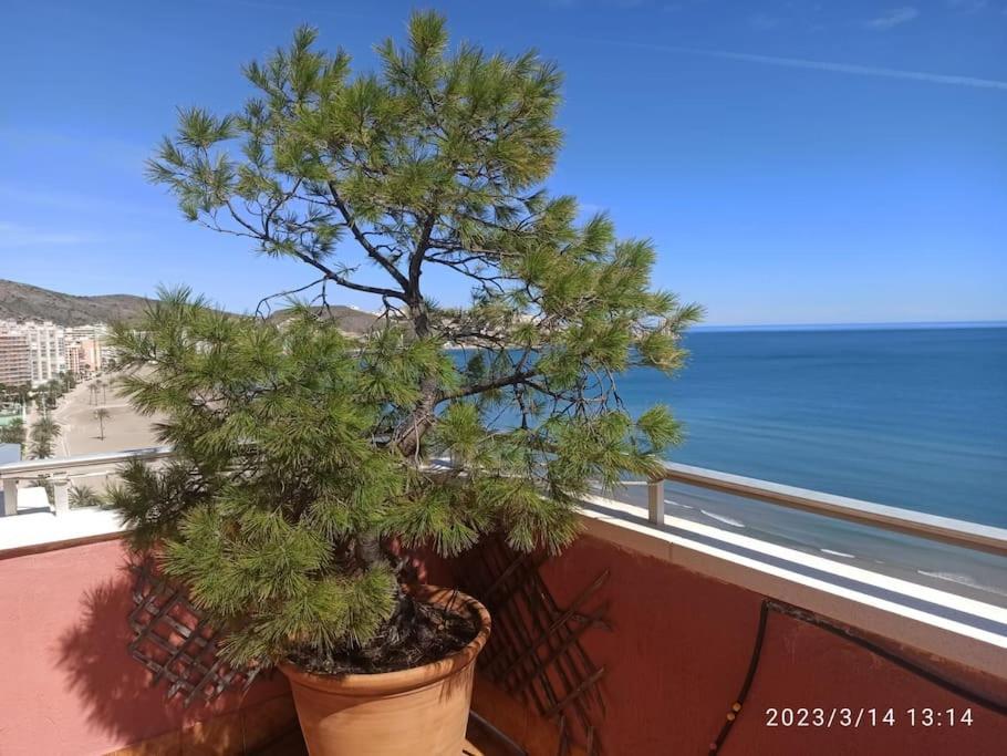 Espectacular Terraza Y Vistas En 1A Linea De Playa Apartment Cullera Exterior foto